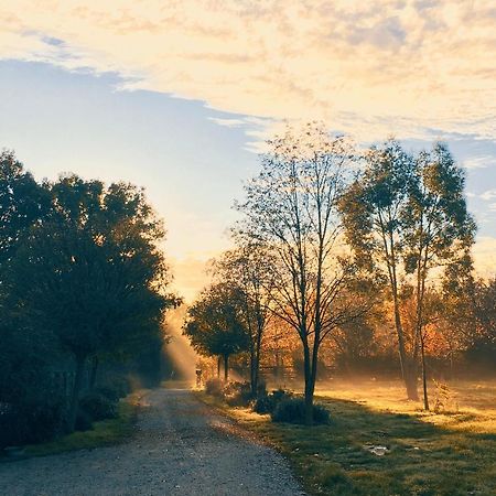 Gite Au Haras Des Arts Saint-Aubin-de-Bonneval Екстериор снимка